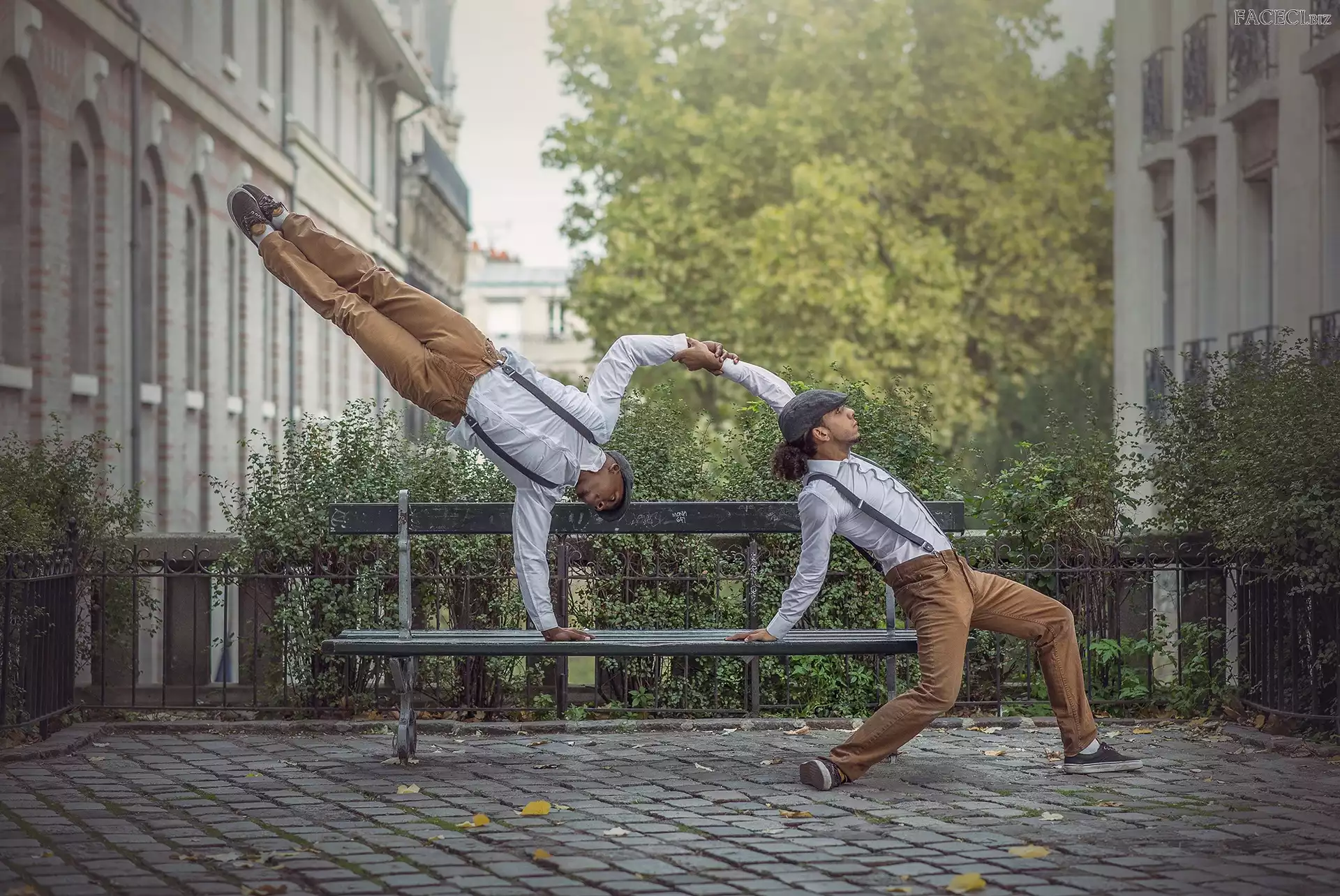 Komedianci, Ławka, Mężczyźni, Pokaz