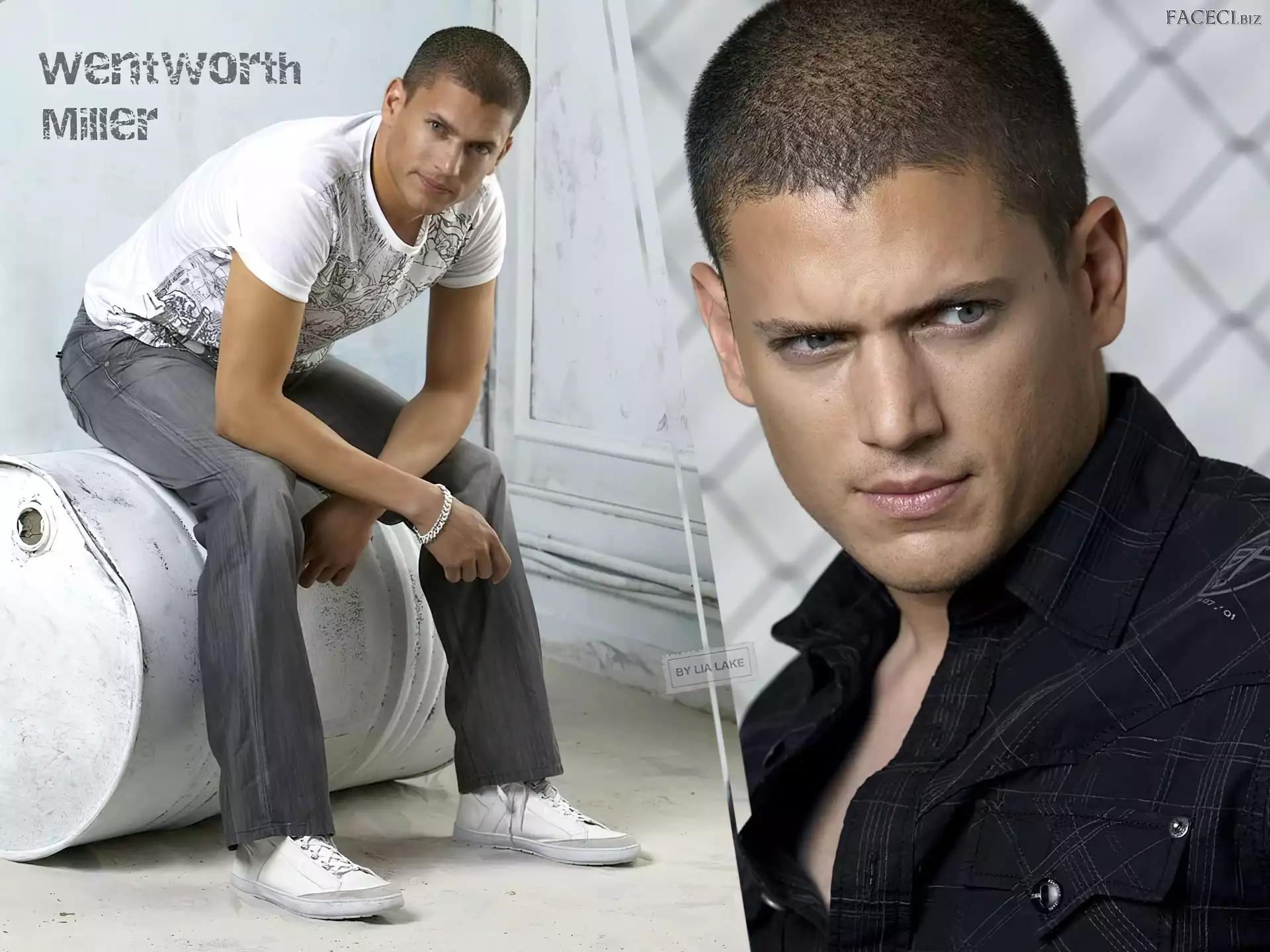 Wentworth Miller, Aktor